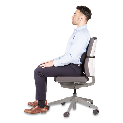 FELLOWES Lumbar Back Support, 12 x 3.13 x 5.19, Black - 9190701