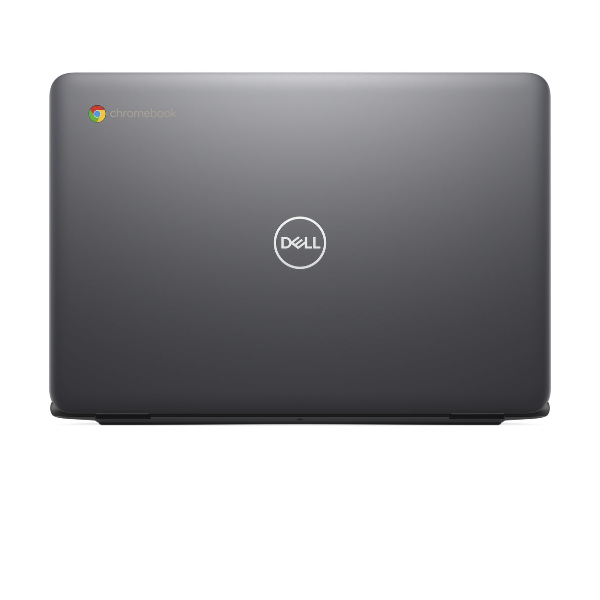 DELL Chromebook 3120 Intel® N N100 29.5 cm (11.6") HD 4 GB LPDDR5-SDRAM 64 GB eMMC Wi-Fi 6 (802.11ax) ChromeOS Black - CC6PF