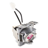 Viewsonic RLC-119 projector lamp - RLC-119