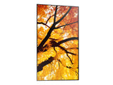 Sharp MultiSync M432 Digital signage flat panel 108 cm (42.5") LCD 550 cd/m² 4K Ultra HD Black - PN-M432