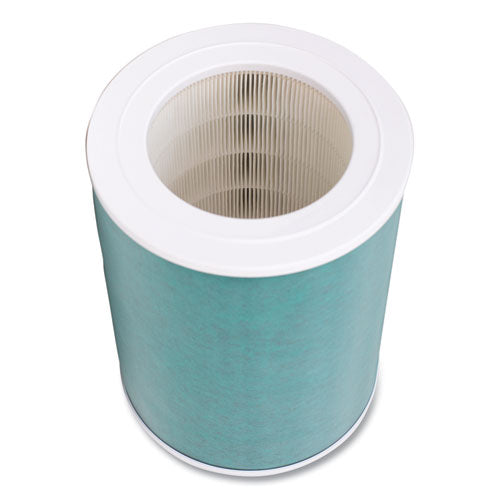 FELLOWES AeraMax SE Combo Filter, 10.87" x 14.75" - 9787801