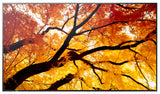Sharp MultiSync M552 Digital signage flat panel 139.7 cm (55") LCD 550 cd/m² 4K Ultra HD Black Touchscreen - PN-M552