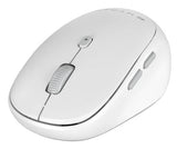 Targus HS2100GL mouse Home Bluetooth - HS2100GL