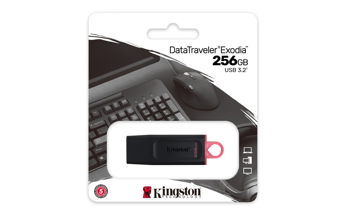 Kingston Technology DataTraveler Exodia - USB 3.2 Flash Drive - DTX/256GB