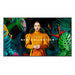 Samsung QB43C Digital signage flat panel 109.2 cm (43") LCD Wi-Fi 350 cd/m² 4K Ultra HD Black Built-in processor Tizen 7.0 16/7 - QB43C