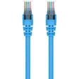 BELKIN Belkin 900 Series Cat.6 UTP Patch Cable - RJ-45 Male Network - RJ-45 Male Network - 1ft - Blue - A3L980-01-BLU