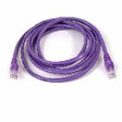 BELKIN Belkin Cat. 5E UTP Patch Cable - RJ-45 Male - RJ-45 Male - 1ft - Purple - A3L791-01-PUR-S