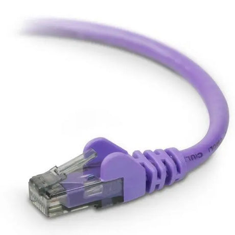 BELKIN Belkin Cat. 6 UTP Patch Cable - RJ-45 Male - RJ-45 Male - 1ft - Purple - A3L980-01-PUR-S