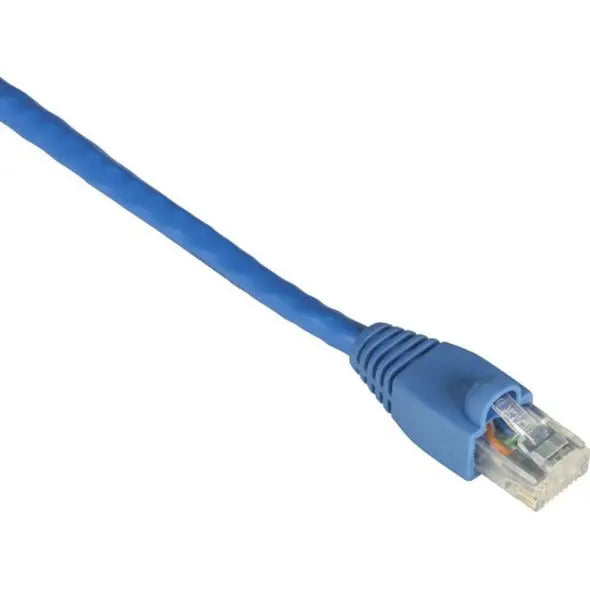 BLACK BOX Black Box GigaTrue Cat. 6 Channel UTP Patch Cable - RJ-45 Male - RJ-45 Male - 1ft - Blue - EVNSL641-0001