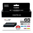 CANON CANON  (CLI-65) Ink, Black/Cyan/Gray/Light Gray/Magenta/Photo Cyan/Photo Magenta/Yellow, 8/Pack - 4215C007
