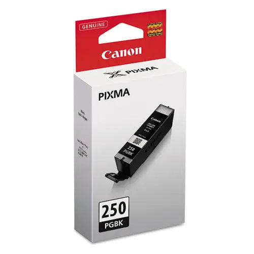 CANON CANON  (PGI-250) ChromaLife100+ Ink, 300 Page-Yield, Black - 6497B001