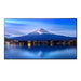 Sharp PN-P506 Signage Display Digital signage flat panel 127 cm (50") LCD 700 cd/m² 4K Ultra HD Black Built-in processor 24/7 - PN-P506