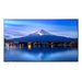 Sharp MultiSync P436 Digital signage flat panel 108 cm (42.5") LCD 700 cd/m² 4K Ultra HD Black 24/7 - PN-P436
