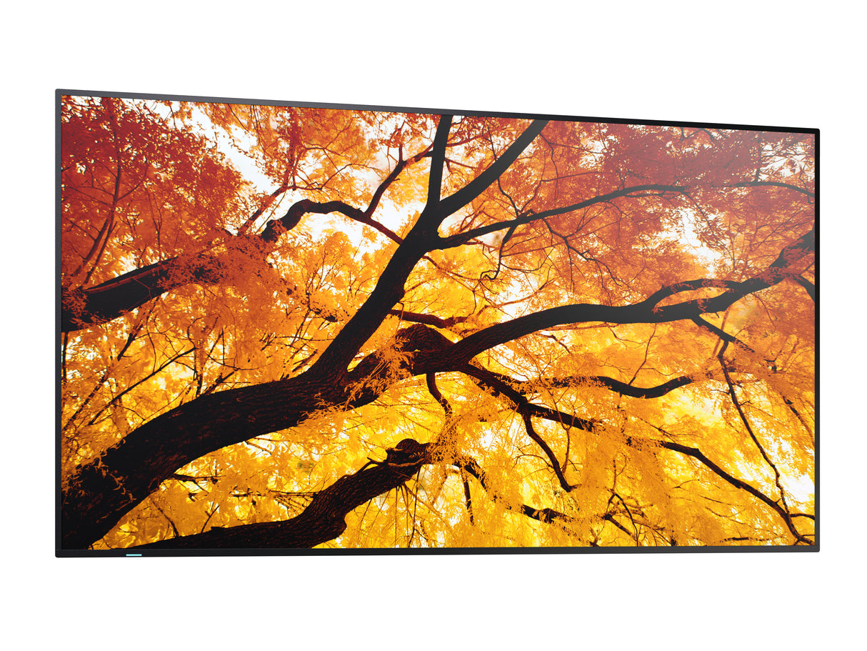 Sharp MultiSync PN-M982 Interactive flat panel 2.48 m (97.5") LED 550 cd/m² 4K Ultra HD Black 24/7 - PN-M982