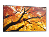 Sharp MultiSync PN-M982 Interactive flat panel 2.48 m (97.5") LED 550 cd/m² 4K Ultra HD Black 24/7 - PN-M982