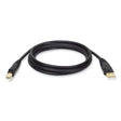 EATON EATON USB 2.0 A/B Cable, 10 ft, Black - U022-010