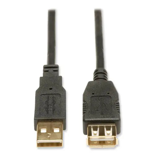 EATON EATON USB 2.0 A Extension Cable, 10 ft, Black - U024-010