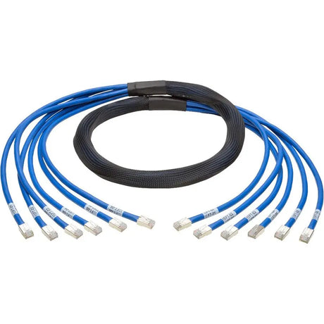 EATON Tripp Lite 10ft Augmented Cat6 Cat6a Pre-Terminated Copper Trunk Bundle 6xRJ45 M/M 10' - 10 ft Category 6a Network Cable for Network Device, Switch, Patch Panel - First End: 6 x RJ-45 Network - Male -...  - N261-010-6MM-BL