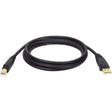 EATON Tripp Lite 15ft USB 2.0 Hi-Speed A/B Device Cable Shielded Male / Male - Type A Male - Type B Male USB - 15ft - U022-015