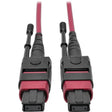 EATON Tripp Lite 1M MTP MPO Multimode Patch Cable 12 Fiber 40/100Gb OM4 50/ 125 CMP - Fiber Optic for Network Device - 5 GB/s - Patch Cable - 3.28 ft - 1 x MTP/MPO Female Network - 1 x MTP/MPO Female Networ...  - N845-01M-12-MG