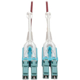 EATON Tripp Lite 3M 10Gb Duplex Multimode Fiber Patch Cable 50/125 OM4 LC/LC LSZH - Fiber Optic for Network Device - 12.50 GB/s - Patch Cable - 9.84 ft - 2 x LC Male Network - 2 x LC Male Network - 50/125 &...  - N821-03M-MG-T