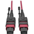EATON Tripp Lite 3M MTP MPO Multimode Patch Cable 12 Fiber 40/100Gb OM4 50/ 125 CMP - Fiber Optic for Network Device - 5 GB/s - Patch Cable - 9.84 ft - 1 x MTP/MPO Female Network - 1 x MTP/MPO Female Networ...  - N845-03M-12-MG