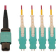 EATON Tripp Lite 40/100/400G Multimode 50/125 OM4 Breakout Fiber Optic Cable (12F MTP/MPO-PC to 4x Duplex SN-PC F/M), LSZH, Magenta, 2 m (6.6 ft.) - 6.56 ft Fiber Optic Network Cable for Network Device, Pat - N845-02M-4S-MG