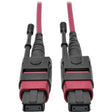 EATON Tripp Lite 5M MTP MPO Multimode Patch Cable 12 Fiber 40/100Gb OM4 50/ 125 CMP - Fiber Optic for Network Device - 5 GB/s - Patch Cable - 16.40 ft - 1 x MTP/MPO Female Network - 1 x MTP/MPO Female Netwo...  - N845-05M-12-MG