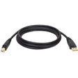 EATON Tripp Lite 6ft USB Cable Hi-Speed Gold Shielded USB 2.0 A/B Male / Male - Type A Male USB - Type B Male USB - 6ft - U022-006
