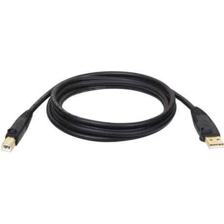 EATON Tripp Lite 6ft USB Cable Hi-Speed Gold Shielded USB 2.0 A/B Male / Male - Type A Male USB - Type B Male USB - 6ft - U022-006