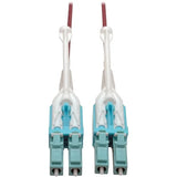EATON Tripp Lite 9M 10Gb Duplex Multimode Fiber Patch Cable 50/125 OM4 LC/LC LSZH - Fiber Optic for Network Device - 12.50 GB/s - Patch Cable - 29.53 ft - 2 x LC Male Network - 2 x LC Male Network - 50/125 ...  - N821-09M-MG-T