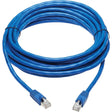 EATON Tripp Lite Cat6a Patch Cable F/UTP Snagless w/ PoE 10G CMR-LP Blue M/M 20ft - 20 ft Category 6a Network Cable for Router, Server, Modem, Hub, Switch, PoE-enabled Device, Surveillance Camera, VoIP Devi...  - N261P-020-BL