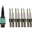 EATON Tripp Lite Fiber Cable 40/100/400G MMF 12F MTP/MPO-PC to 4x LC/PC F/M 3M - 9.84 ft Fiber Optic Network Cable for Network Device, Patch Panel, Switch - First End: 1 x MTP/MPO Network - Female - Second  - N844X-03M-8L-P