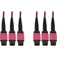 EATON Tripp Lite Fiber Optic Cable 40/100/400G MMF 50 OM4 3x8F MTP/MPO-PC F/F 10M - 32.81 ft Fiber Optic Network Cable for Switch, Patch Panel, Network Device - First End: 3 x MTP/MPO Network - Female - Sec - N858B-10M-3X8MG