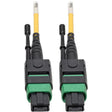 EATON Tripp Lite MTP/MPO (APC) SMF Fiber Patch Cable 12 Fiber QSFP+ 40/100Gbe 7M - Fiber Optic for Network Device, Switch, Hub, Router, Patch Panel - 12.50 GB/s - Patch Cable - 22.97 ft - 1 x MTP/MPO Female - N390-07M-12-AP