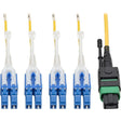 Tripp Lite MTP/MPO (APC) to 8xLC SMF Fiber Breakout Cable QSFP+ 40/100Gb 1M - Fiber Optic for Network Device, Switch, Hub, Router - 12.50 GB/s - Patch Cable - 3.30 ft - 1 x MTP/MPO Female Network - 8 ...  - N390-01M-8LC-AP EATON