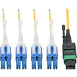 EATON Tripp Lite MTP/MPO (APC) to 8xLC SMF Fiber Breakout Cable QSFP+ 40/100Gb 3M - Fiber Optic for Network Device, Switch, Hub, Router - 12.50 GB/s - Patch Cable - 9.84 ft - 1 x MTP/MPO Female Network - 8  - N390-03M-8LC-AP