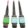 EATON Tripp Lite Multimode Fiber Optic Cable MTP/MPO-APC to x2 12F MTP/MPO-UPC F/F 5M - 16.40 ft Fiber Optic Network Cable for Network Device, Transceiver, Network Switch, Patch Panel - First End: 1 x MTP/M...  - N846D-05M-16DMG