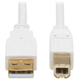 EATON Tripp Lite Safe-IT USB-A to USB-B Antibacterial Cable (M/M), USB 2.0, White, 6 ft. - 6 ft USB/USB-B Data Transfer Cable for Computer, Notebook, Multimedia Device, Scanner, Printer, Hub, Peripheral Dev...  - U022AB-006-WH