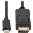 EATON Tripp Lite USB C to DisplayPort Adapter Cable Bi-Directional 4K M/M 10ft - 10 ft DisplayPort/USB-C A/V Cable for Audio/Video Device, Monitor, Desktop Computer, TV, Projector, PC, Tablet, Notebook, Mac...  - U444-010-DP-BD