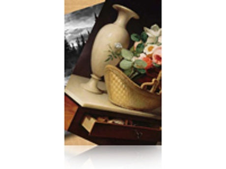 EPSON Epson Premium Luster Photo Paper, 60" x 30,5 m, 260g/m² - S042134