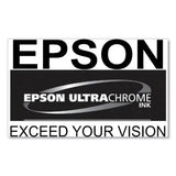EPSON EPSON  (T770) UltraChrome PRO10 Ink, 25 mL, Gray - T770720