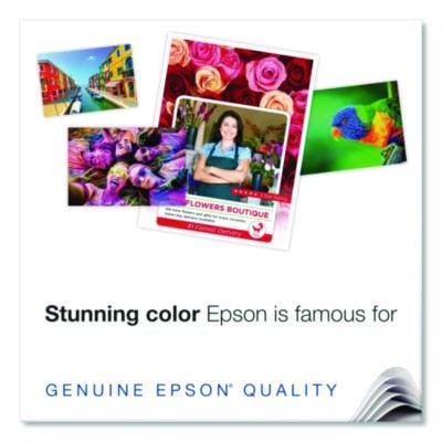 EPSON Paper/Labels/Transparencies/Pl Matte Presentation Paper, 4.9 mil, 11 x 17, Matte Bright White, 100/Pack - S041070