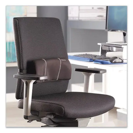 FELLOWES FELLOWES Lumbar Back Support, 12 x 3.13 x 5.19, Black - 9190701