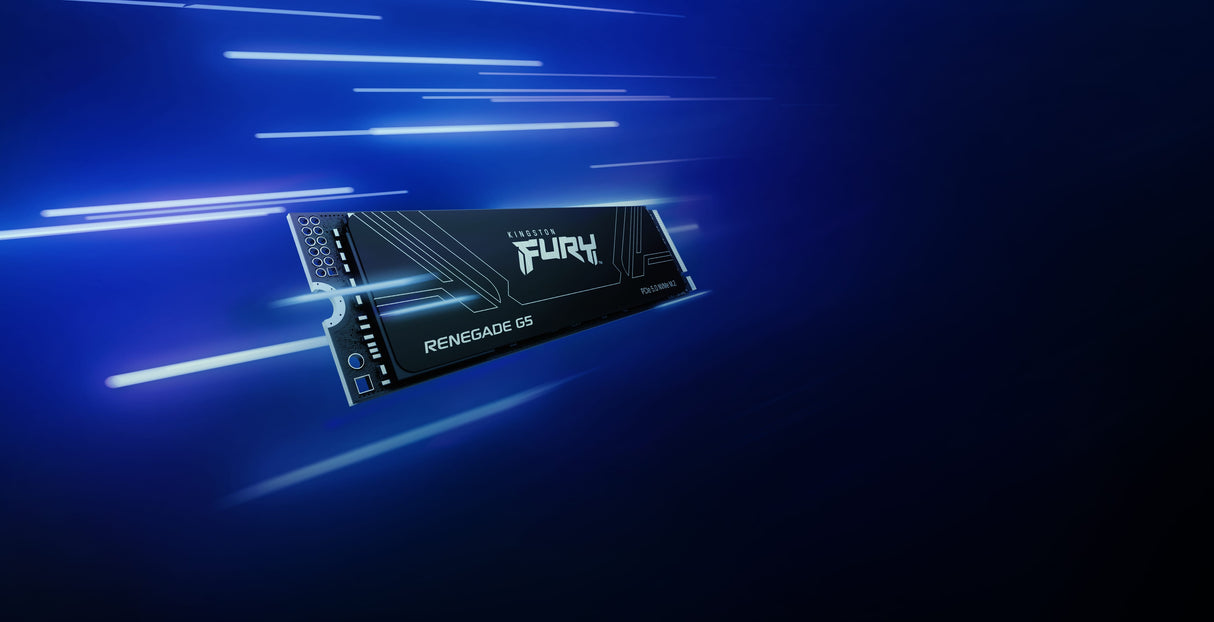 KINGSTON Solid State Drive Kingston Technology 4T FURY RENEGADE G5 M.2 2280 NVMe SSD - SFYR2S/4T0