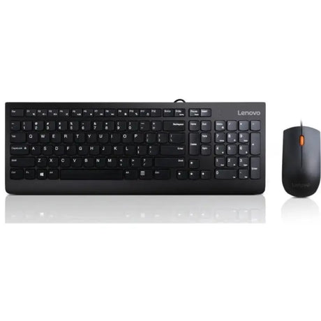 LENOVO Printers/Printer Accessories Lenovo 300 keyboard Mouse included USB QWERTY US English Black - GX30M39606