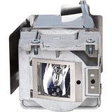 VIEWSONIC ViewSonic RLC-111 Projector Lamp - Projector Lamp - RLC-111